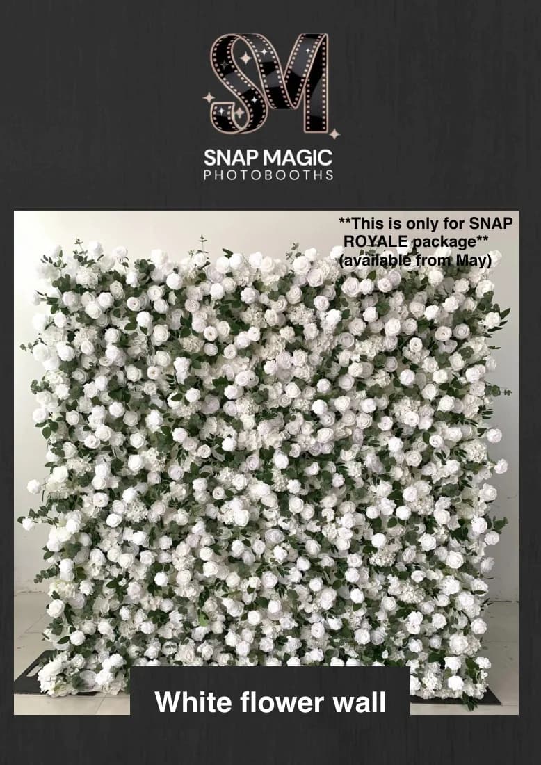 Premium Backdrops